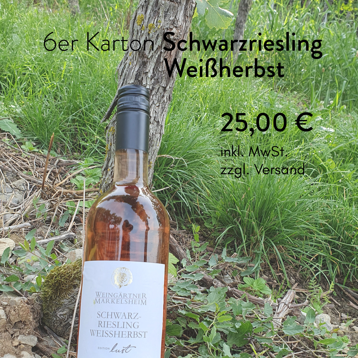 Angebot Schwarzriesling Weißherbst